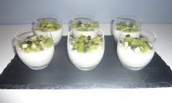 Panna Cotta aux kiwis