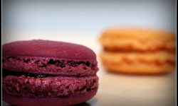 Macarons à la Myrtille