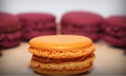 Macarons Speculoos